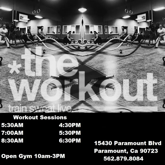 The Workout Gym Picture 6