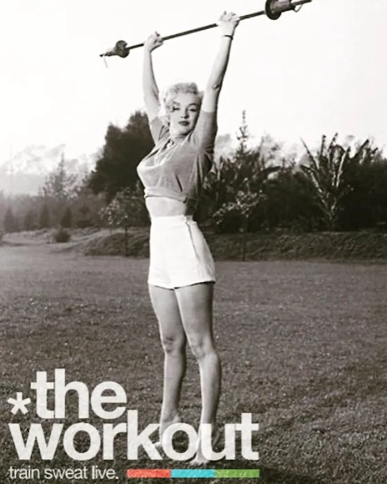 The Workout Gym Picture 3