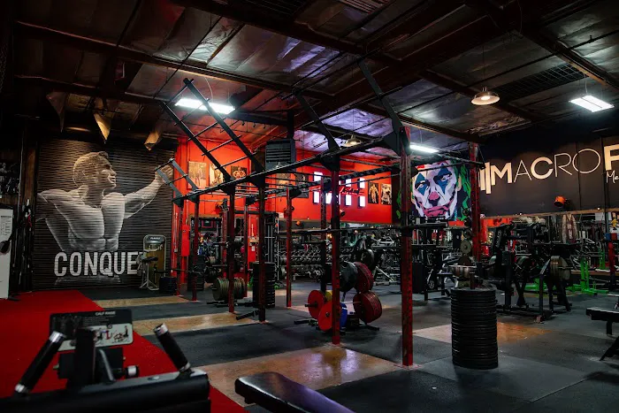 Madhouse Gains Asylum Picture 4