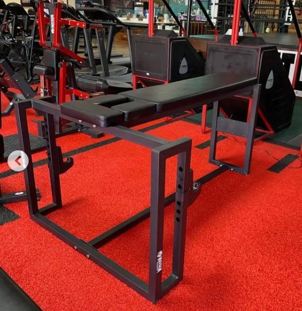 Madhouse Gains Asylum Picture 5