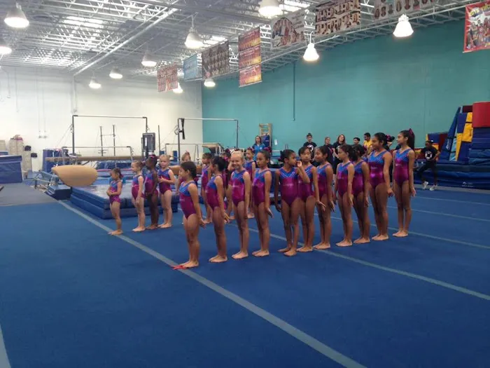 YMCA Gymnastics Center Picture 5