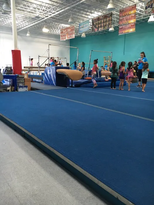 YMCA Gymnastics Center Picture 9