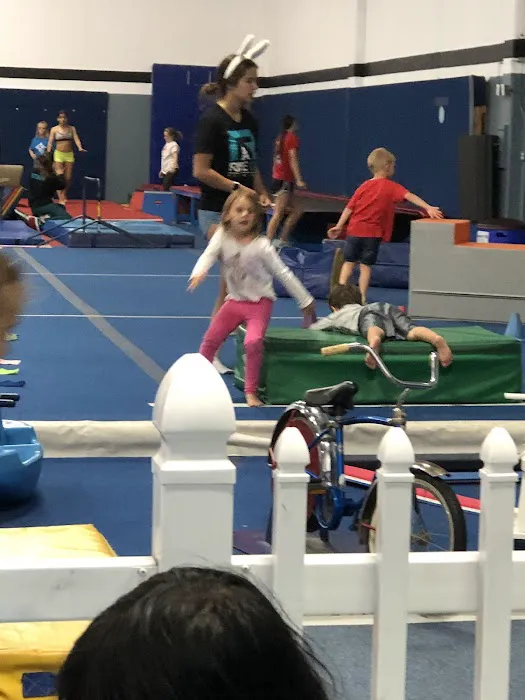 RISE UP ATHLETICS Picture 1