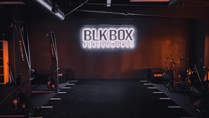 Blk Box Performance Picture 1