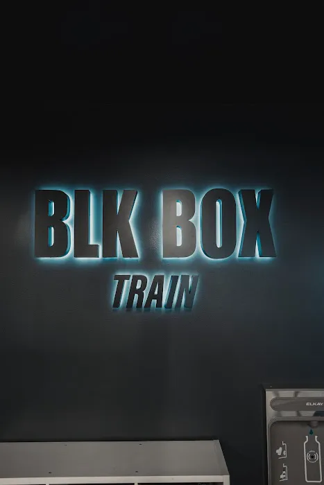 Blk Box Train Picture 9