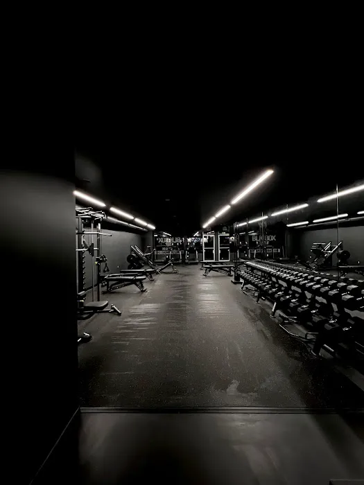 Blk Box Train Picture 10