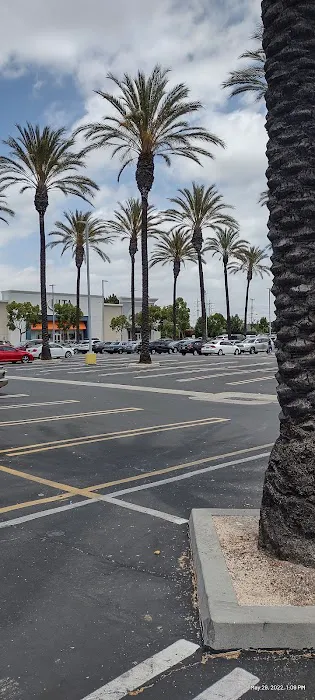 Planet Fitness Picture 4