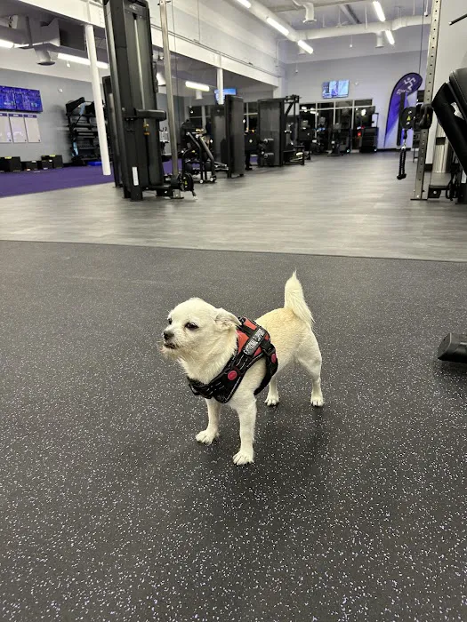 Anytime Fitness Picture 3