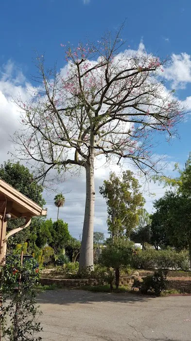 The Divine Art of Yoga Center Ashram Picture 1