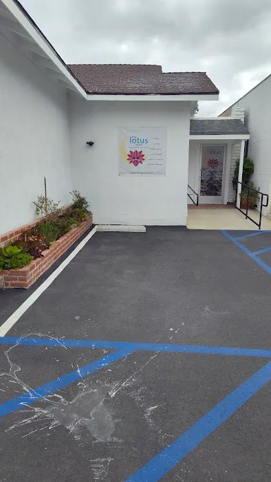 The Lotus Zone Picture 4