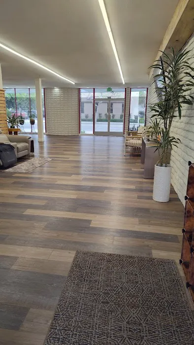 The Lotus Zone Picture 8