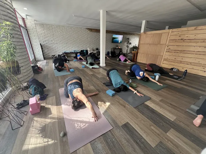 The Lotus Zone Picture 10