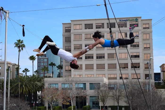 SwingIt Trapeze Picture 7