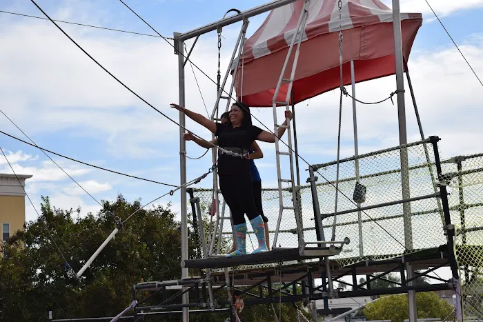 SwingIt Trapeze Picture 5