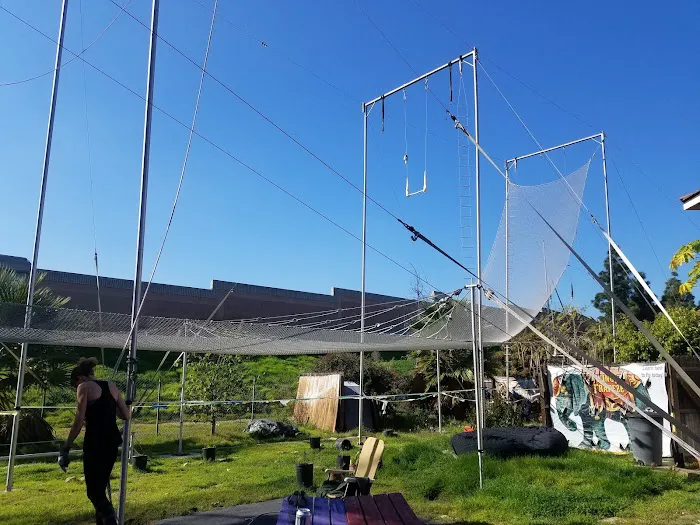 SwingIt Trapeze Picture 8