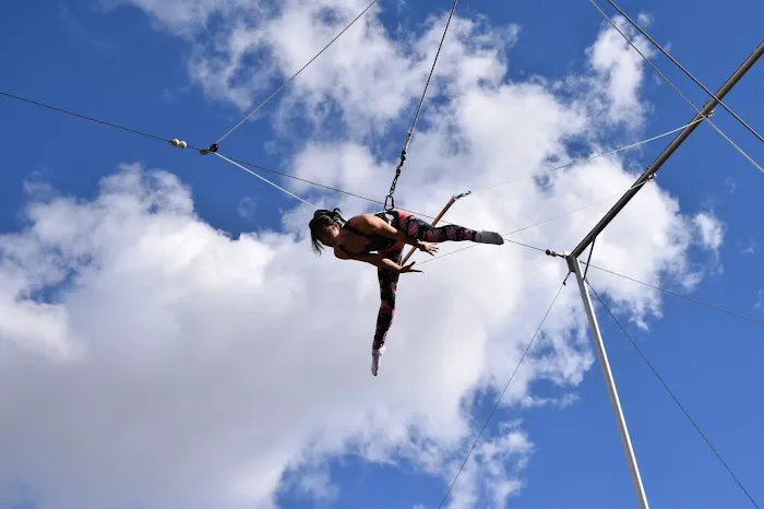 SwingIt Trapeze Picture 1