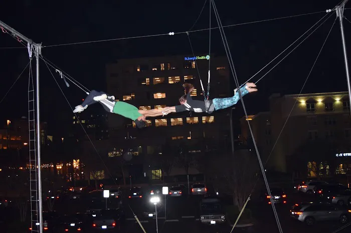 SwingIt Trapeze Picture 10