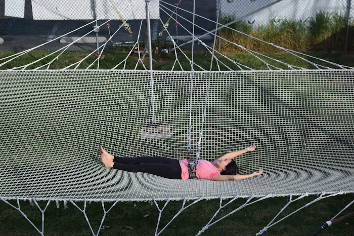 SwingIt Trapeze Picture 9