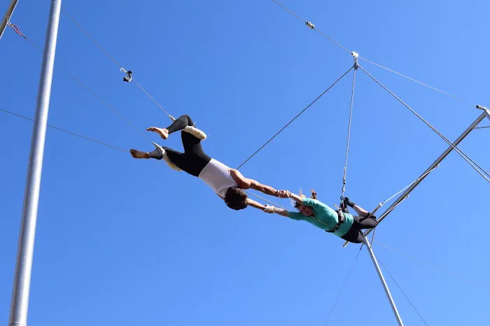 SwingIt Trapeze Picture 3