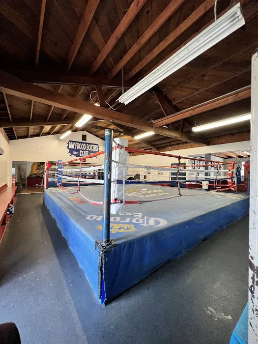 Maywood Boxing Club Picture 5