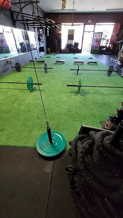 Cardio Revolution Fitness Picture 3