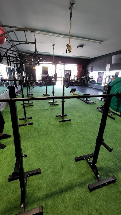 Cardio Revolution Fitness Picture 2