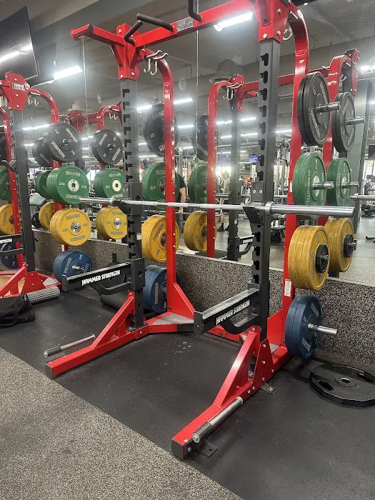 Fitness 19 Picture 5