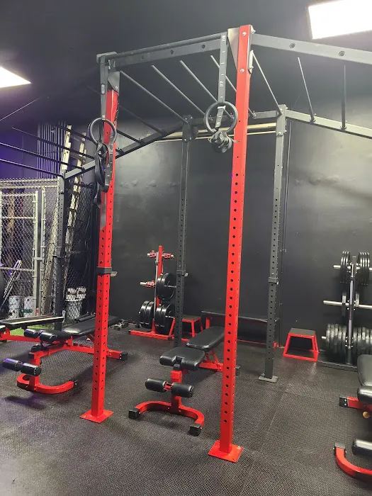 Savage Fitness Equipment Picture 2