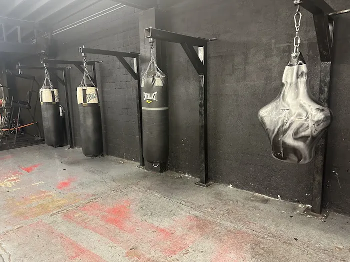 NGBA Boxing Picture 2