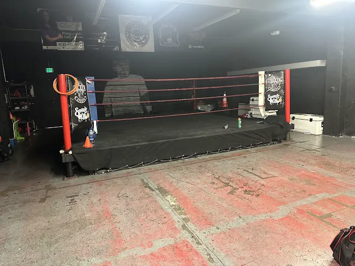 NGBA Boxing Picture 4