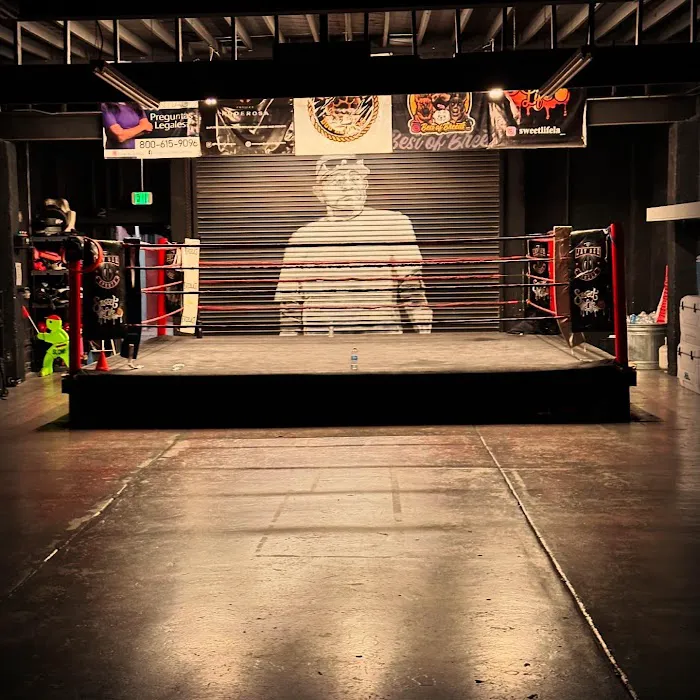 NGBA Boxing Picture 3