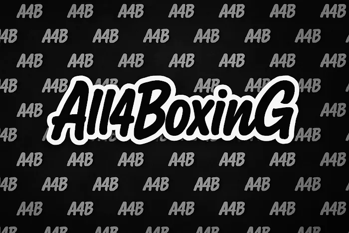 All4Boxing Picture 2