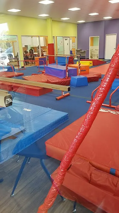 The Little Gym of Lakewood Picture 2