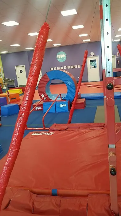 The Little Gym of Lakewood Picture 5