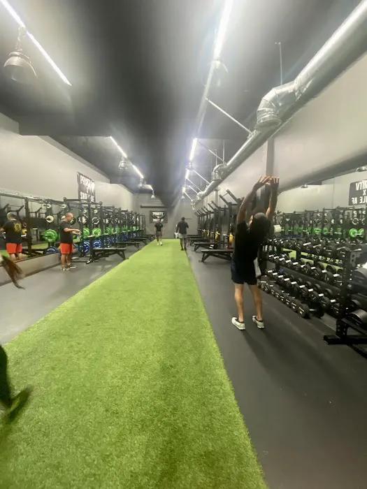 Primitive Movement x Swole AF Picture 2