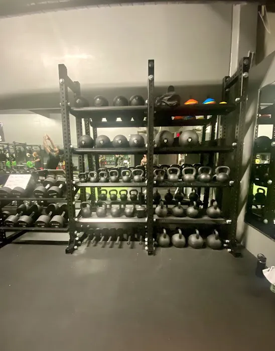 Primitive Movement x Swole AF Picture 3