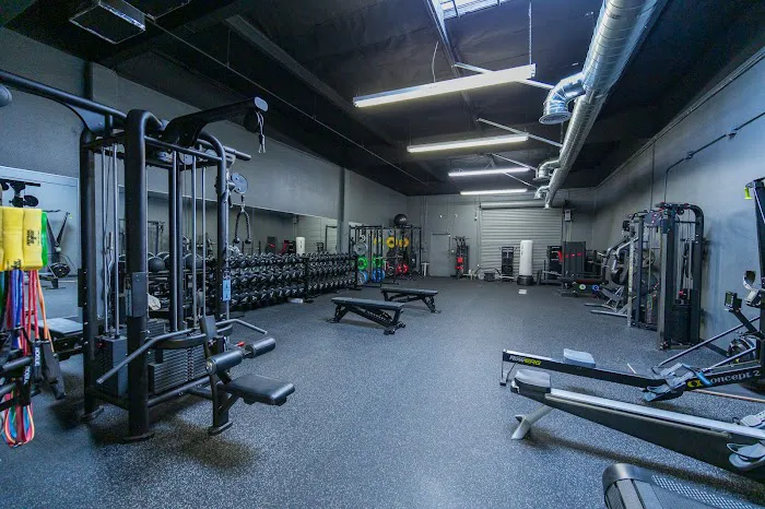 Primitive Movement x Swole AF Picture 6