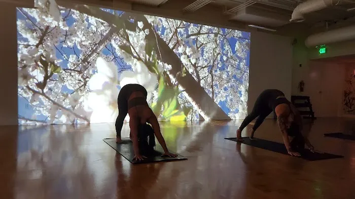 kosha 5 yoga studio Picture 7