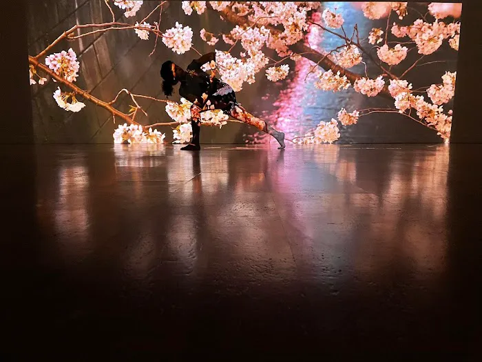 kosha 5 yoga studio Picture 8