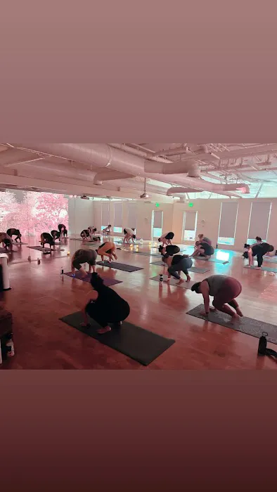 kosha 5 yoga studio Picture 1