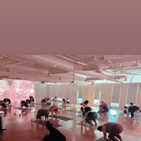 kosha 5 yoga studio ico
