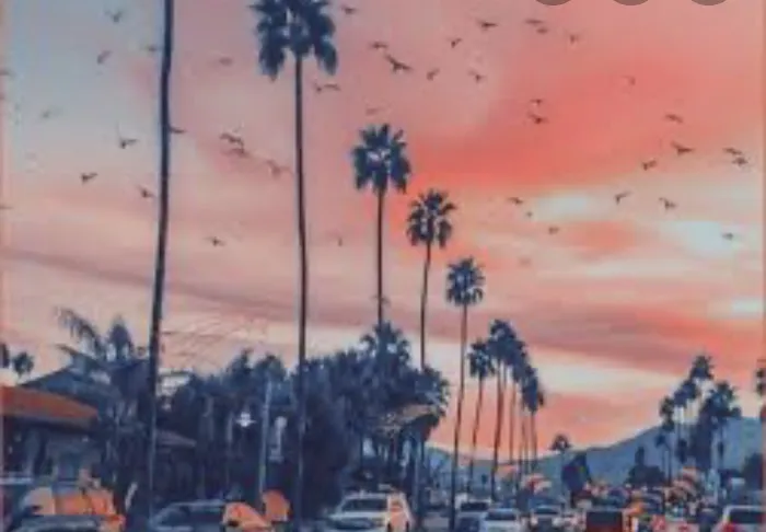 OC Allstars Cheer Picture 7