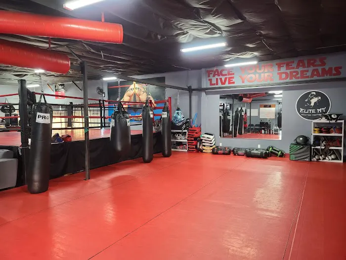 Master Toddy LA Training Center Anaheim Picture 7