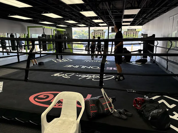 Levels fight club Picture 1