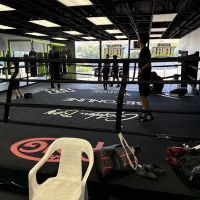 Levels fight club ico