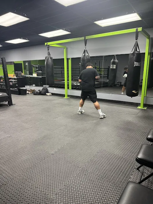 Levels fight club Picture 3