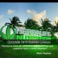Herbalife Healthy Fitness ico
