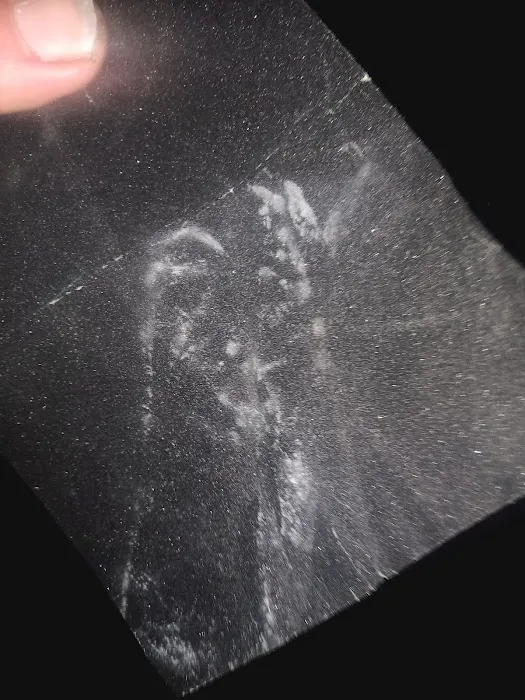 HARBOR CITY Picture 1