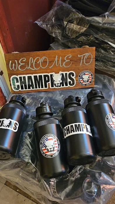 Champions ELA Fight Academy Picture 8