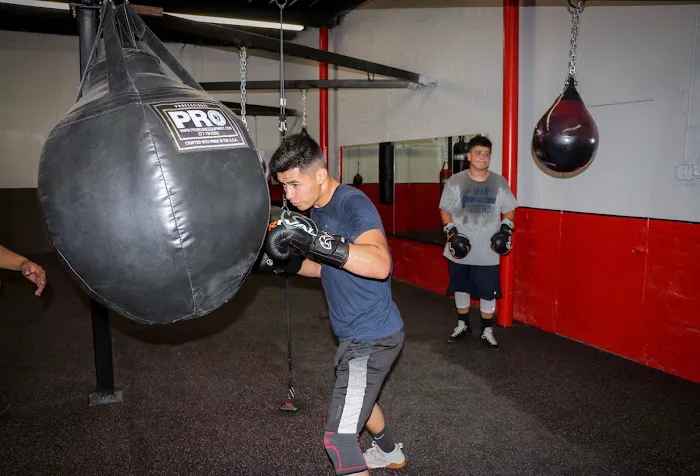 Knockouts Boxing Picture 6